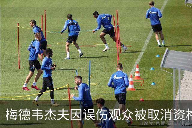 梅德韦杰夫因误伤观众被取消资格，携球拍前往医院致歉